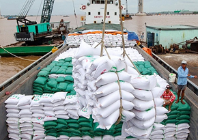 Giá gạo Việt Nam xuất khẩu tăng mạnh, trong nước điều chỉnh giảm